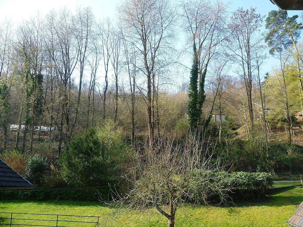 Apartamento Schwarzwald Domizil Uhlsberg Kippenheim Exterior foto